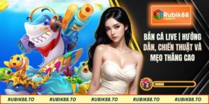 Bắn cá live