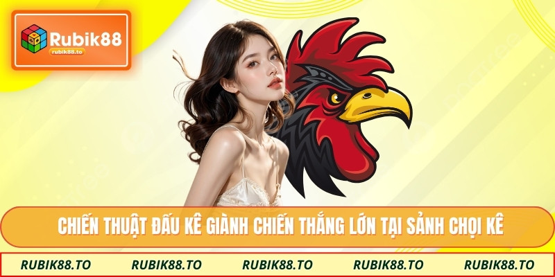 Chiến thuật đấu kê giành chiến thắng lớn tại sảnh chọi kê
