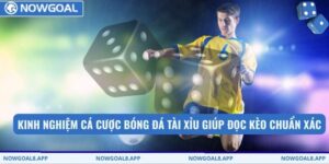 Kinh Nghiệm Cá Cược Bóng Đá Tài Xỉu Tại Hệ Thống Nowgoal