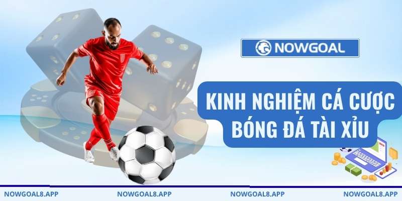 Kinh nghiệm cá cược bóng đá tài xỉu giúp đọc kèo chuẩn xác